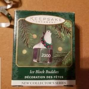 1st in Ice block Buddies!!!